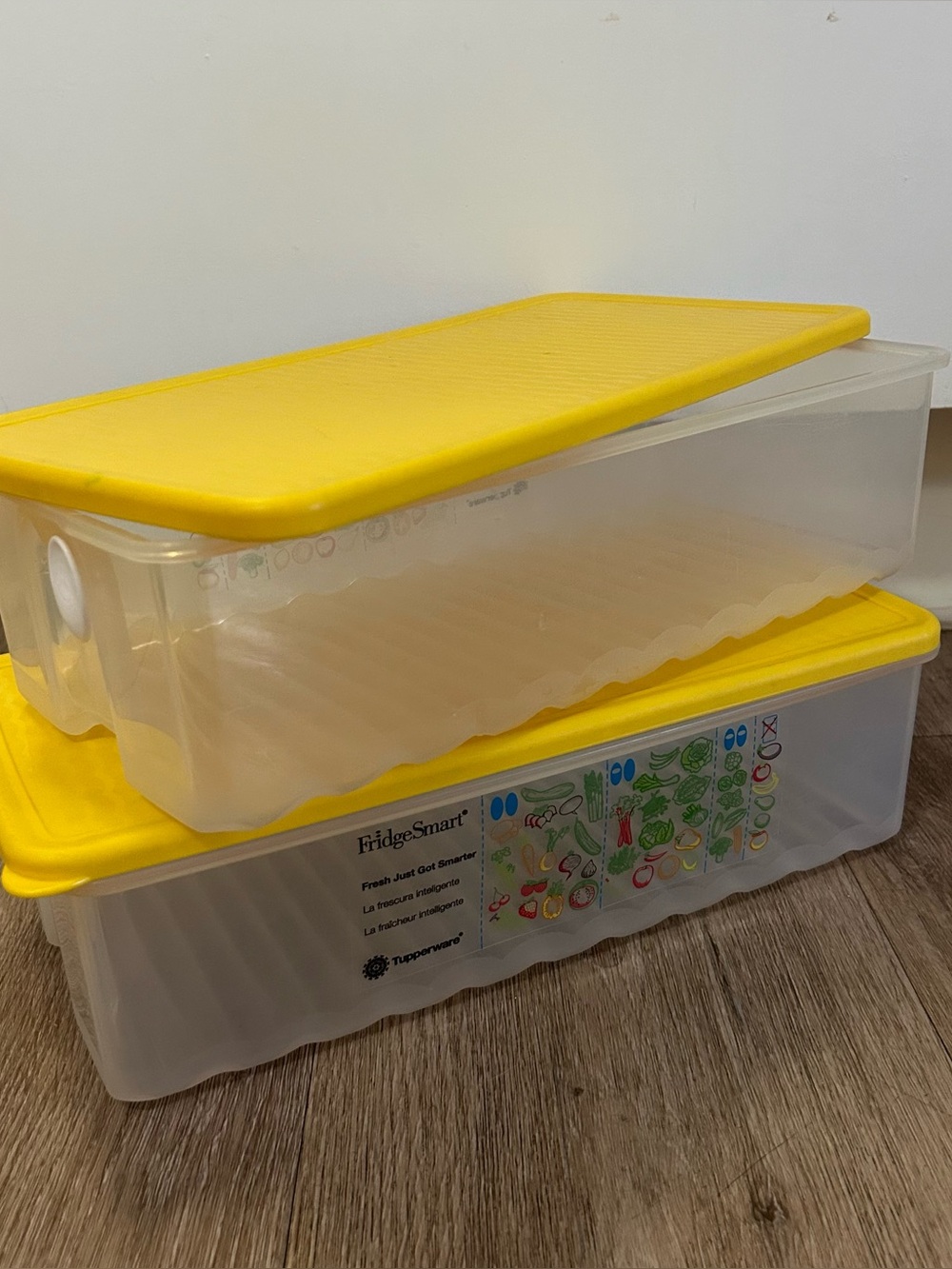 Fridgesmart Set of Two Medium Containers